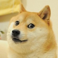 ProfilAuteurDiscussion